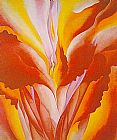 Red Canna'24